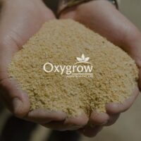 Soya Doc Deoiled Rice Bran