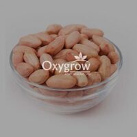 Raw Peanuts